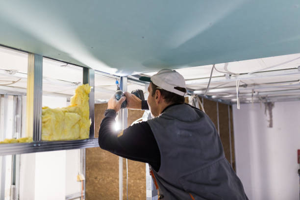 Professional Insulation Contractor in Evans, CO