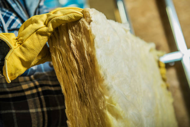 Best DIY Insulation Kits and Guidance in Evans, CO