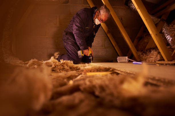 Best Eco-Friendly Insulation in Evans, CO